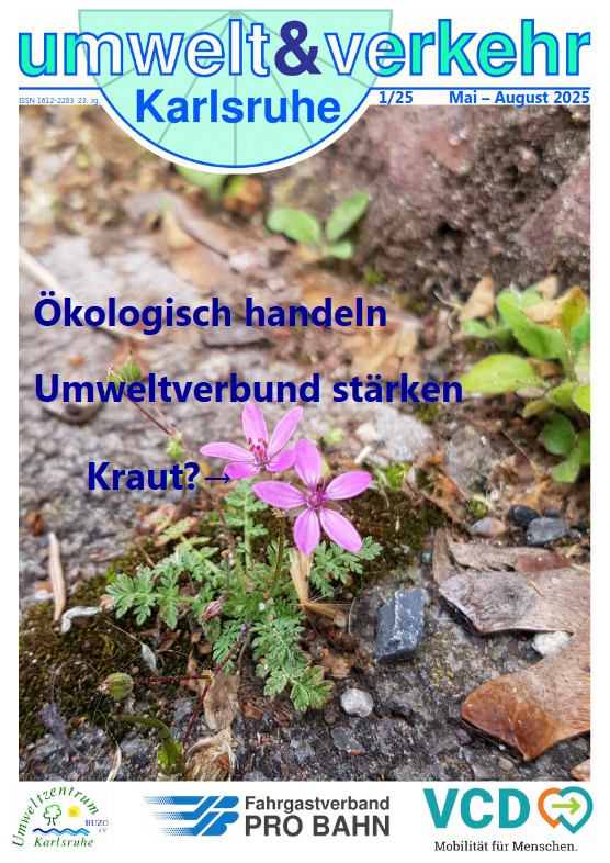 umwelt&verkehr Bild
